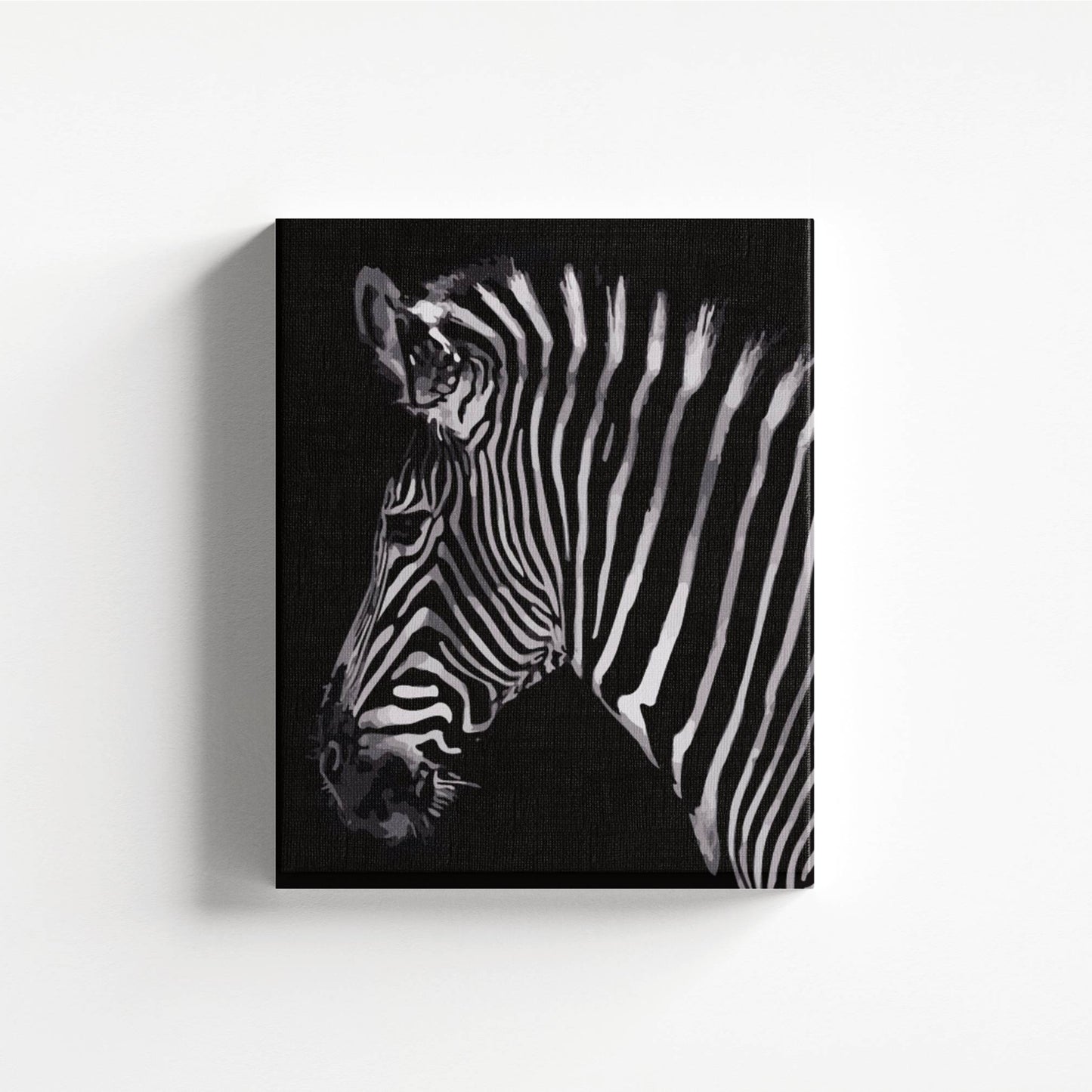 Zebra Shadows