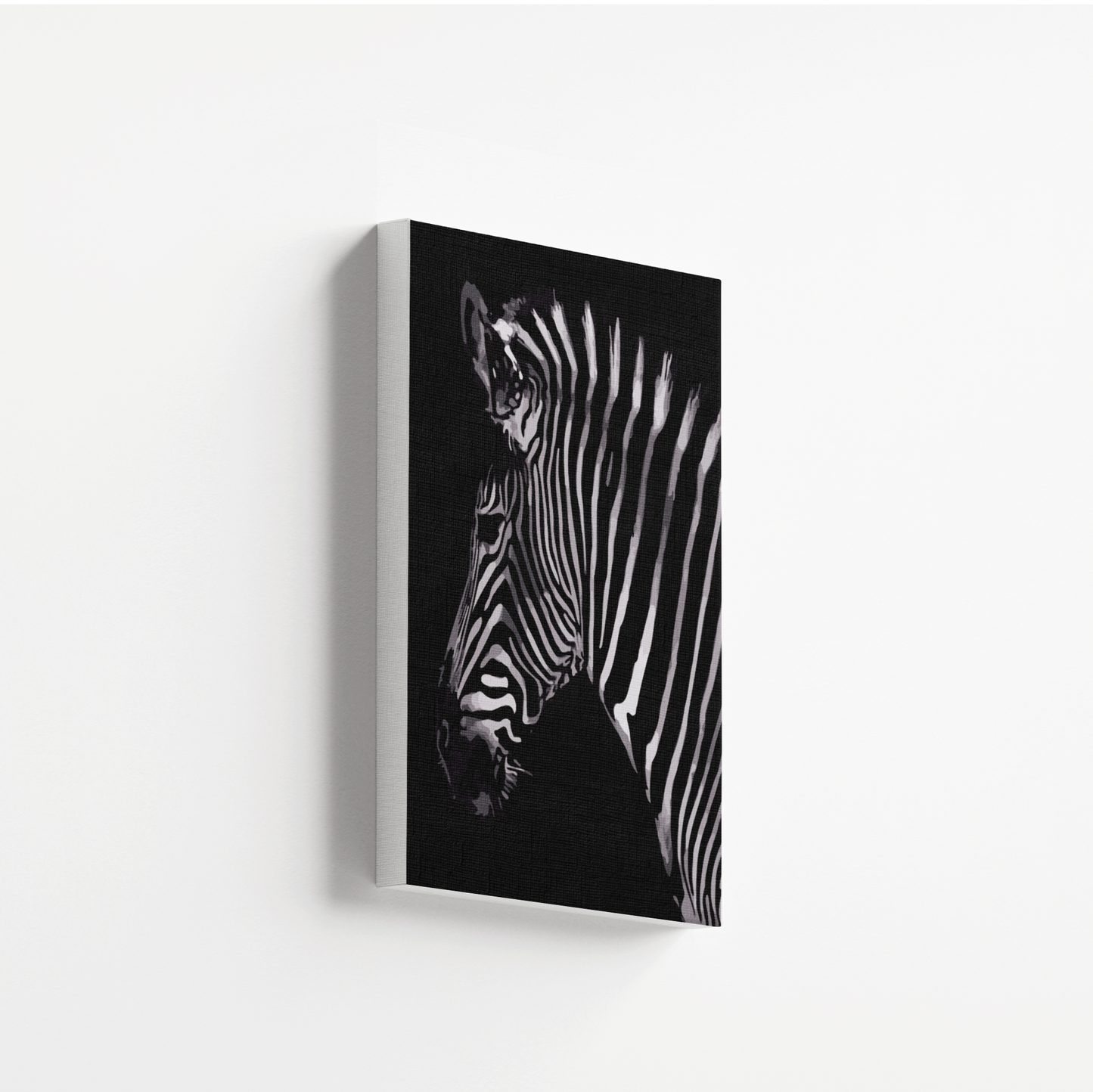 Zebra Shadows
