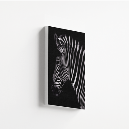 Zebra Shadows