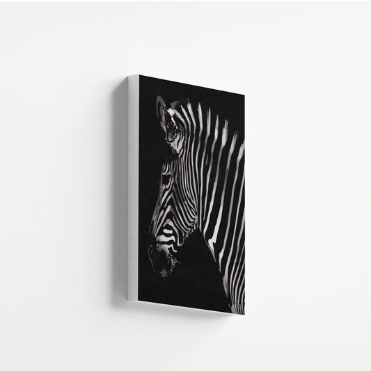 Zebra Shadows