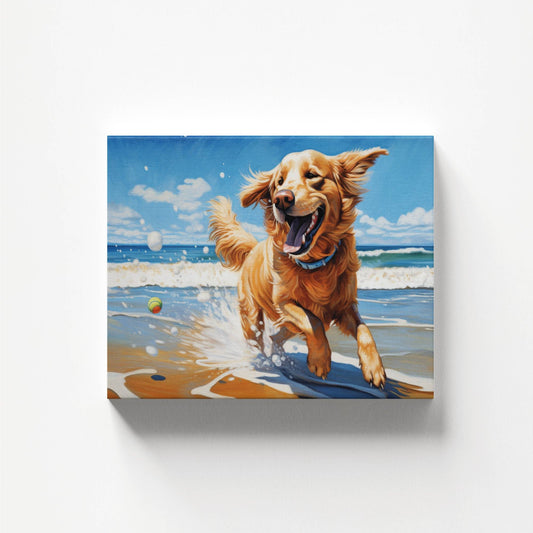Sandy Paws