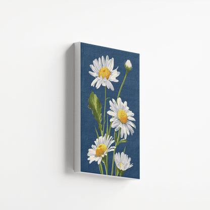 Daisy Elegance