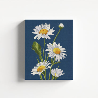 Daisy Elegance
