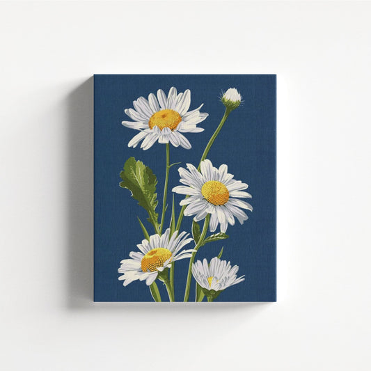 Daisy Elegance