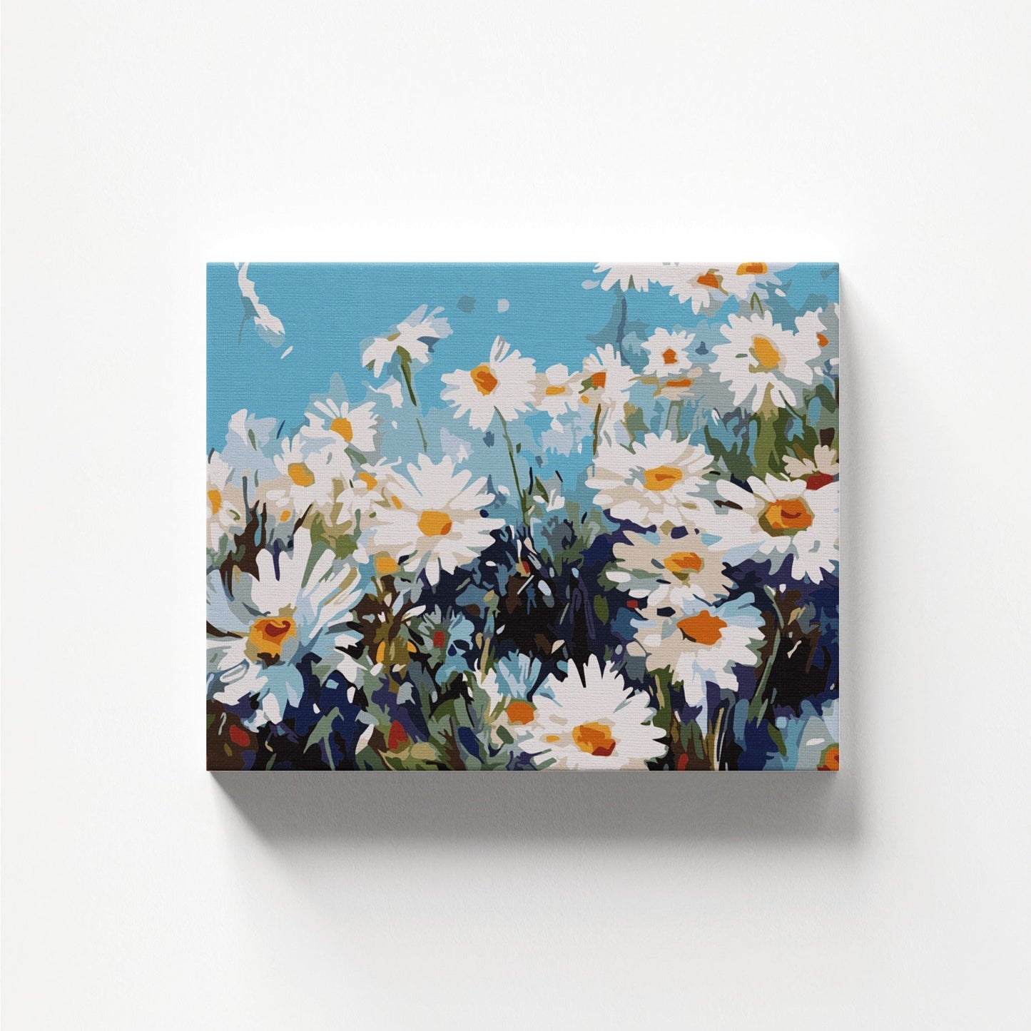 Daylight Daisy
