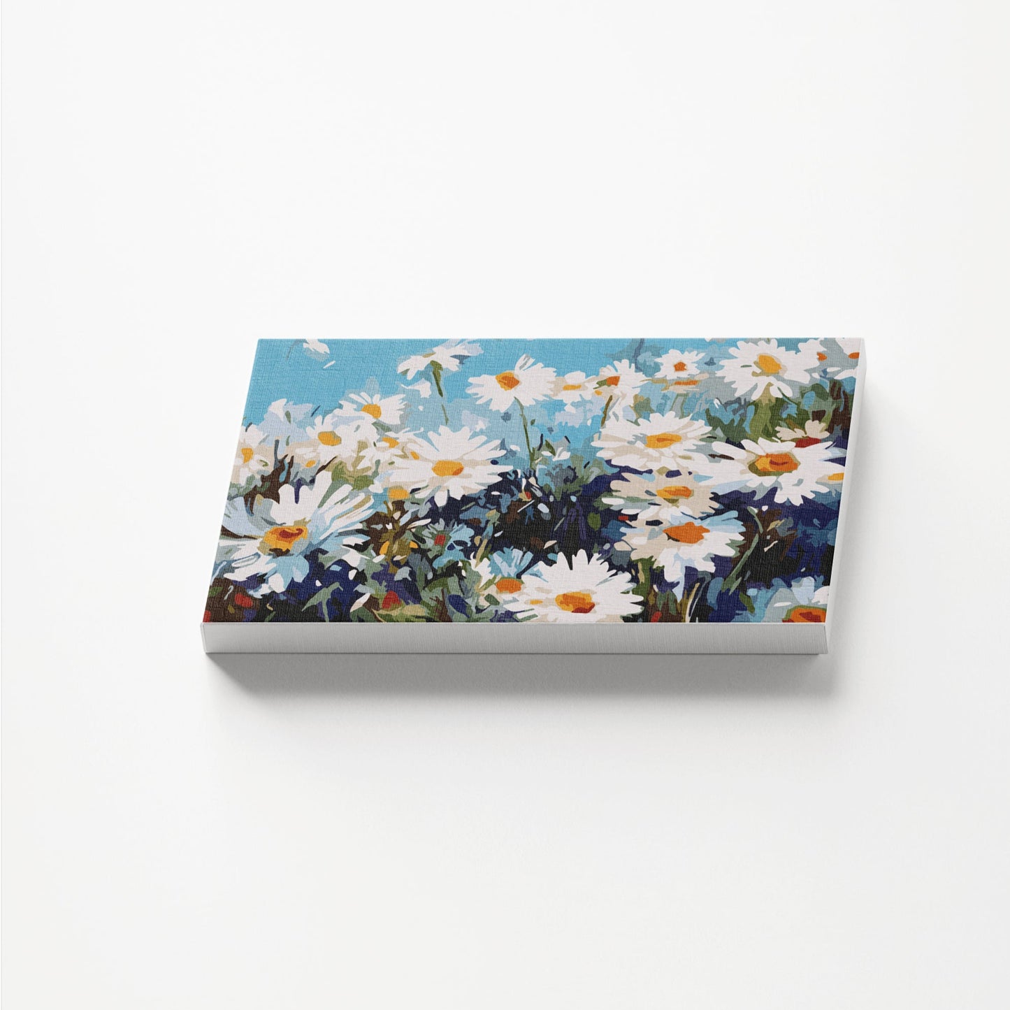 Daylight Daisy