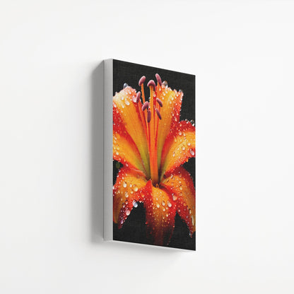 Dewdrop Flame