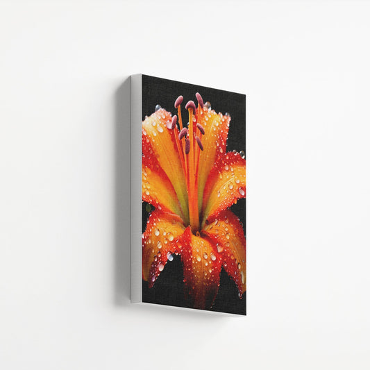 Dewdrop Flame