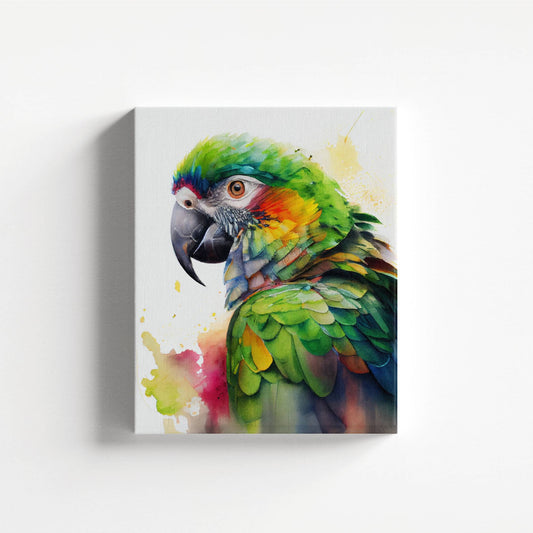 Rainbow Plumage