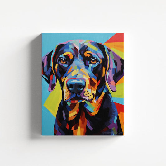 Colorful Companion